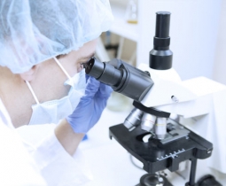 Microscopia Óptica