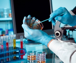 Parasitologia