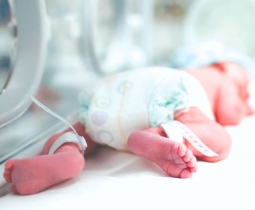 UTI Neonatal